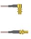Amphenol Custom Cable Q-2P03M0005012i