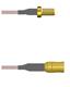 Amphenol Custom Cable Q-2V03W0005012i