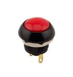 Imagen ampliada de Same Sky PB2-M-R-D-67